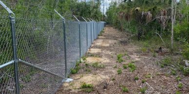 Chain-link fence bordering a forested area.