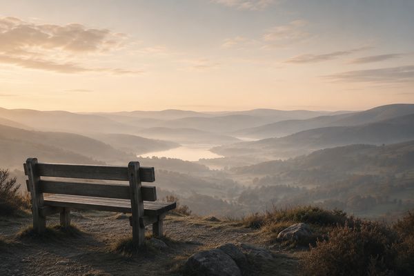A wooden bench overlooking a misty valley at sunrise.