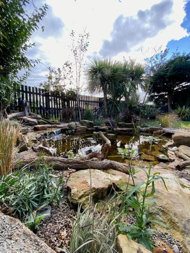 A serene backyard pond surrounded by rocks, plants, and a wooden fence under a cloudy sky.