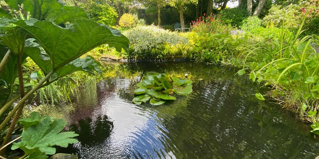 A custom designed pond created in the traditional English garden scheme, fully landscaped.