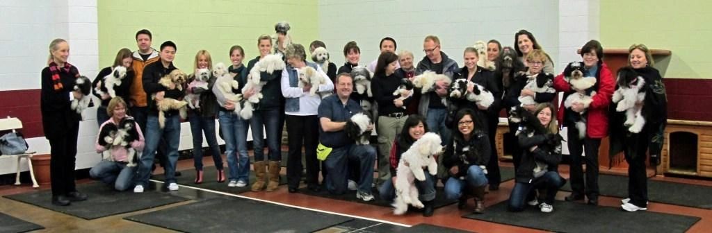 Rain-Proof Winter Havanese Playdates