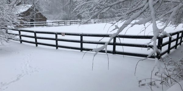 Braden Brook Stables