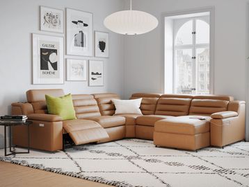 PALLISER LOTUS SECTIONAL