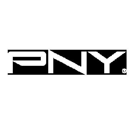 PNYlogo.jpg