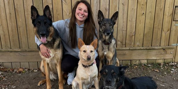 A smiling woman poses with four dogs in front of a wooden fence.