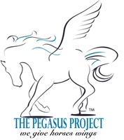Wings Over Pegasus 2022