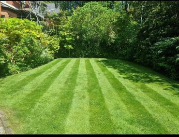 mowed lawn as part of garden maintenance