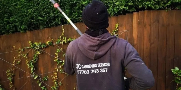 hedge trimming