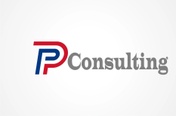 P&P Consulting LLC