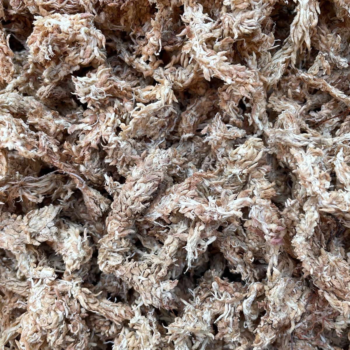 Dried sphagnum moss online