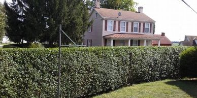 A two-story house behind a tall, neatly trimmed hedge on a sunny day.