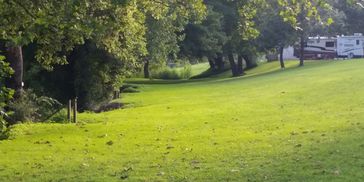 Clinch River Family CG public access to swim and fish