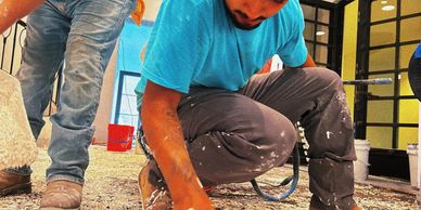 Terrazzo Floor Installation 