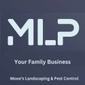 MLP