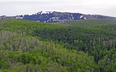 Ranch land in the mountains