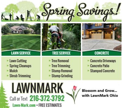 LAWNMARK  LANDSCAPING - CONCRETE DRIVEWAY & PATIO concrete contractors, tree removal landscaping 