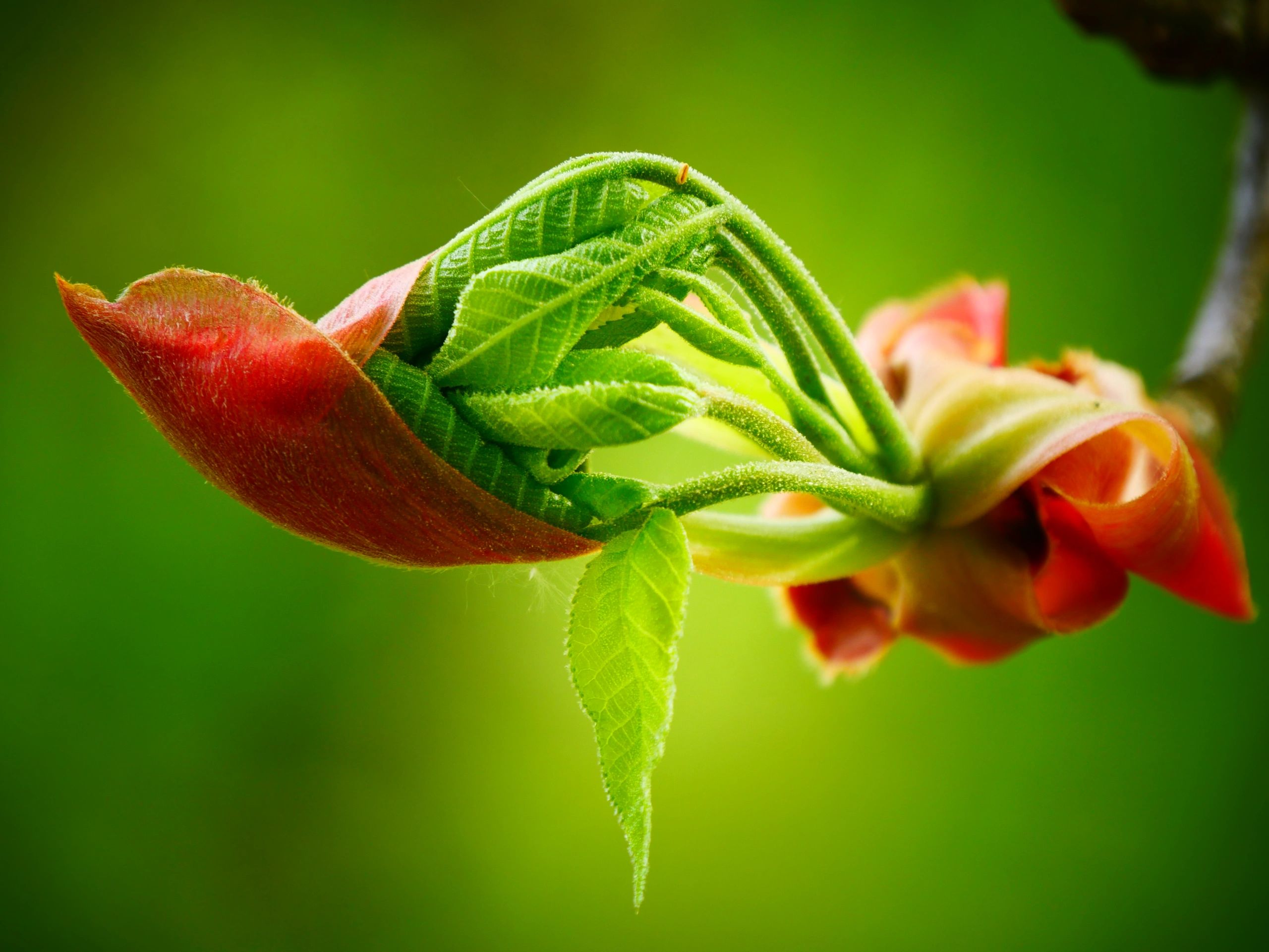 Experience the Healing Power of Nature with Us