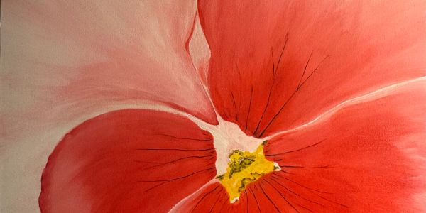 Close-up of a vibrant red flower with a yellow center and delicate black lines.