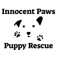 Innocent paws sales puppy rescue