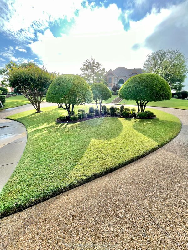 aaa lawn care jackson tn