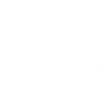 Strive 