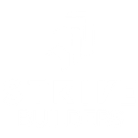 Strive 