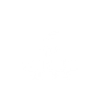 Strive 