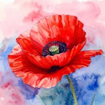 Vibrant red poppy flower watercolor painting.