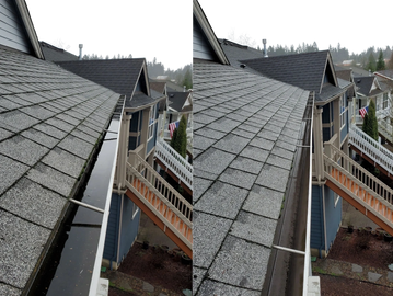 Professional House Washing Soft Wash & Gutter Cleaning Services in Portland, OR and Vancouver, WA