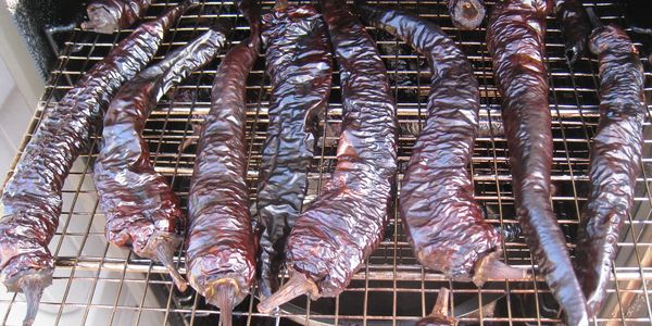 Smoked peppers are dry and ready to gind into chile powder. Yum!