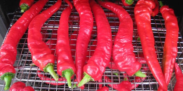 Home-grown Cowhorn chile peppers heading into the smoker for 20 hours or so.