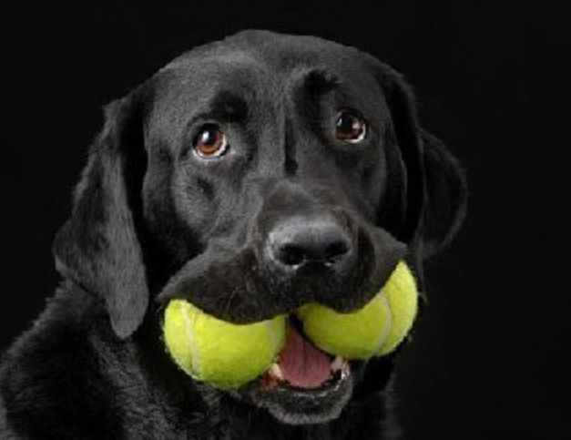 Two balls are better then one!