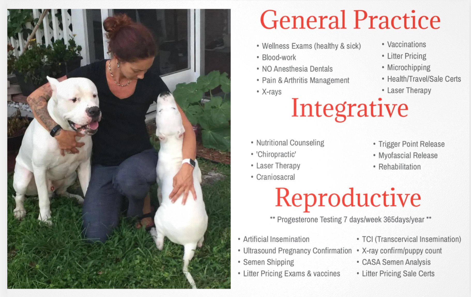 AcuVetDoc Veterinary Reproduction & Animal Care Wellness Clinic logo