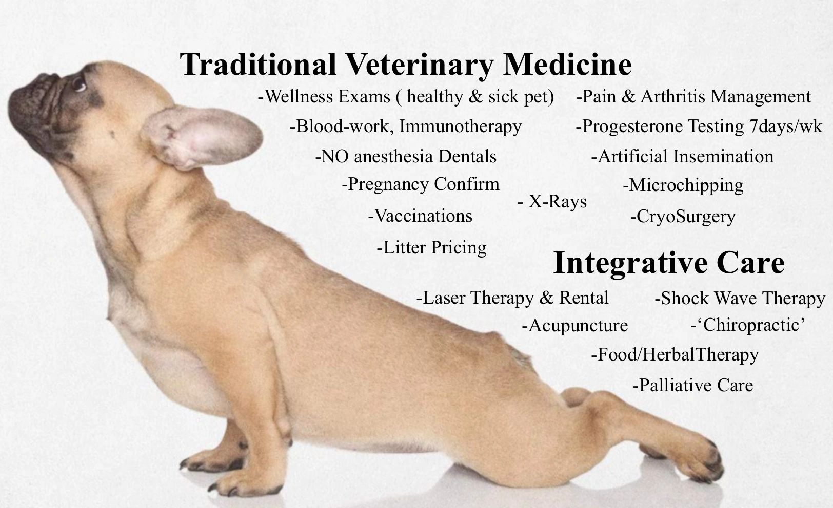 how long do dogs bleed after c section