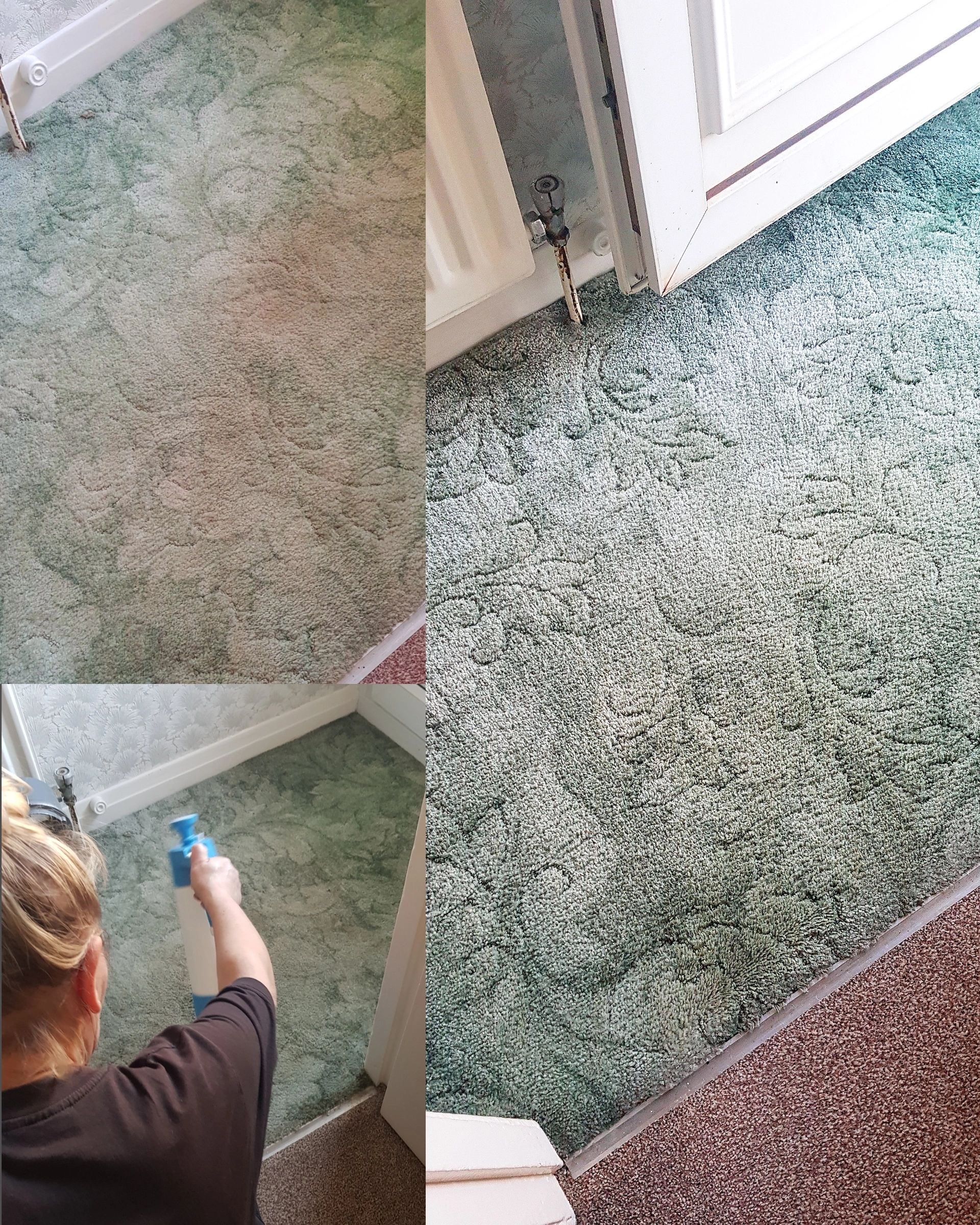 DOMESTIC CARPET CLEANERS