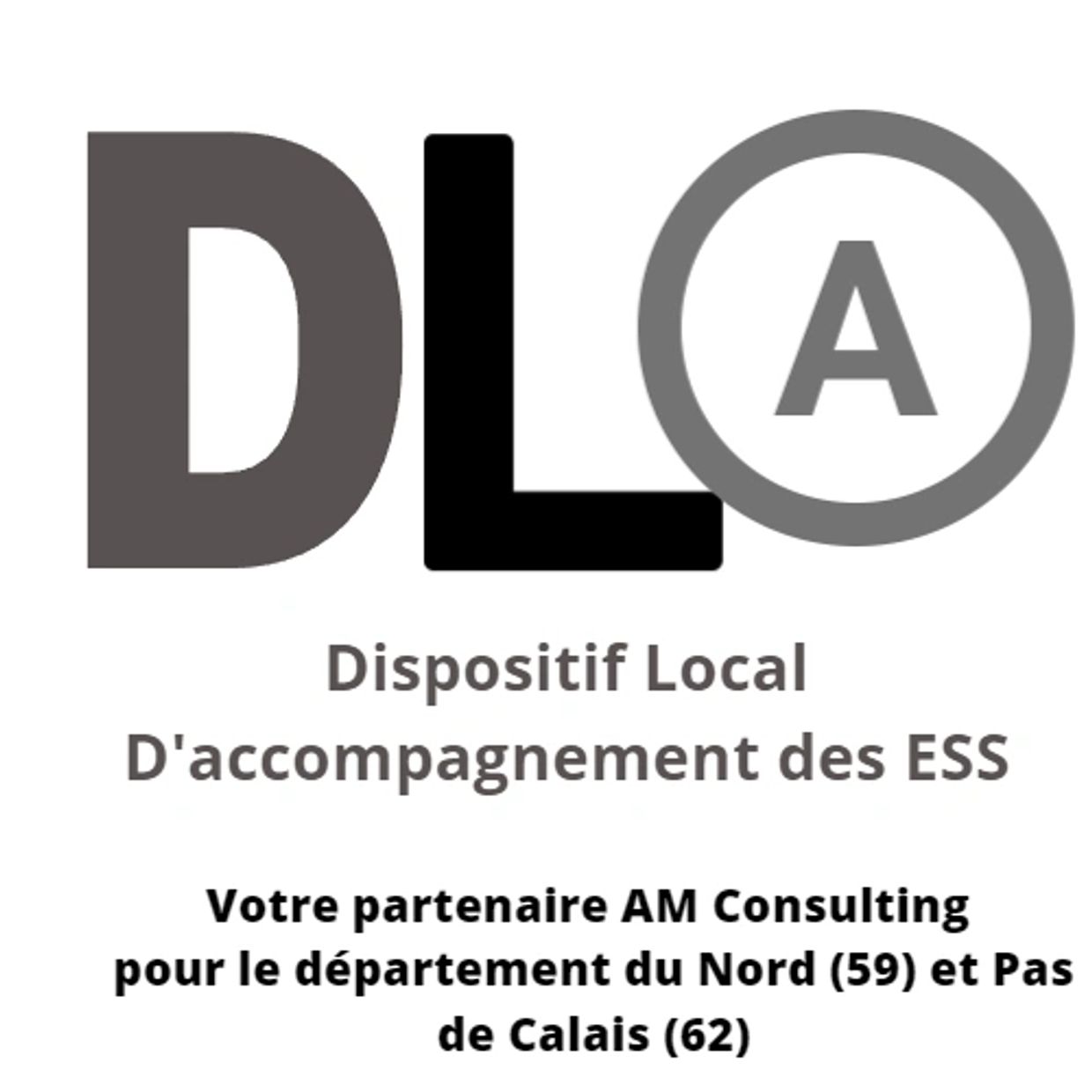 AM consulting votre partenaire DLA