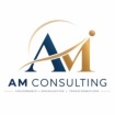AM consulting : «  au service de votre Excellence ! »