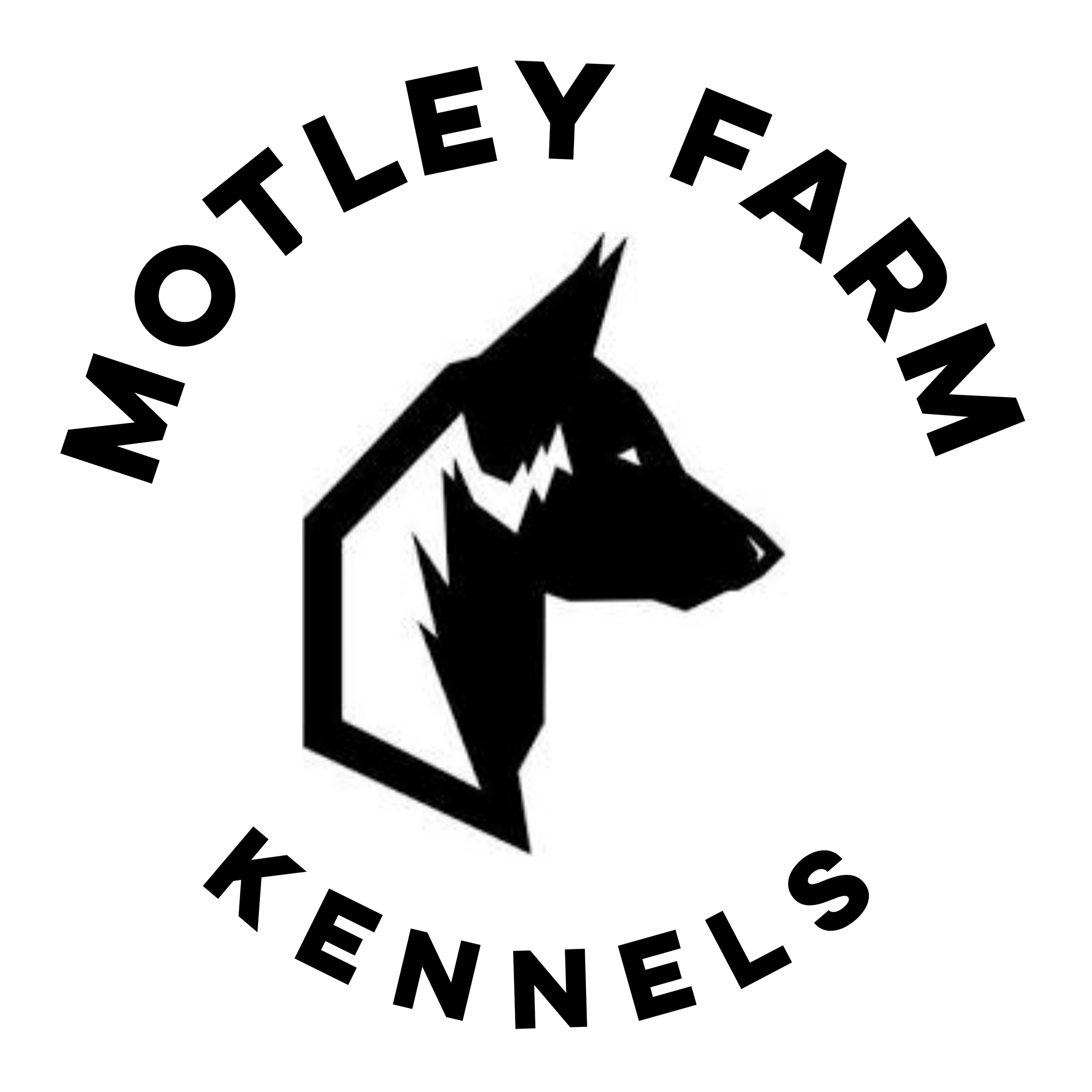 Motley Farm Kennels