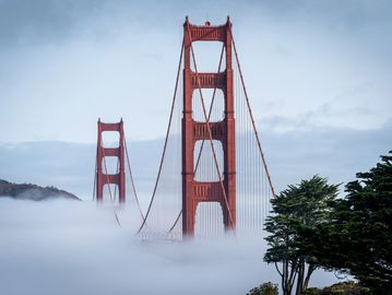 Golden Gate bridge emerging from thick fog.    Photo taken from Presidio Park.