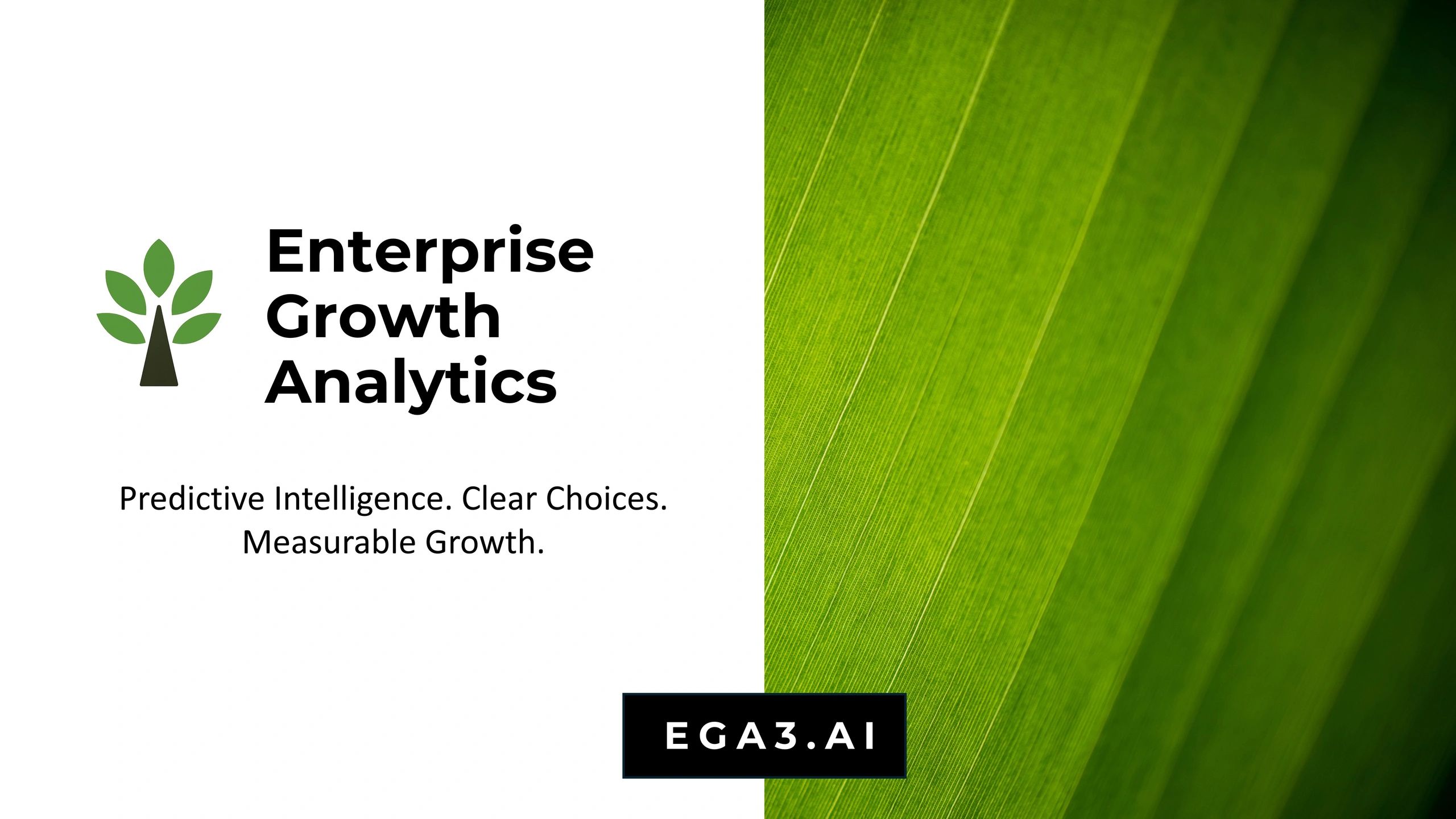EGA3.ai