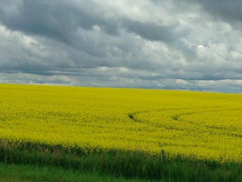 Innisfail Chiropractic and Massage in Innisfail