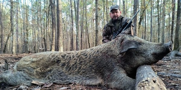 Wild Pig Hunting