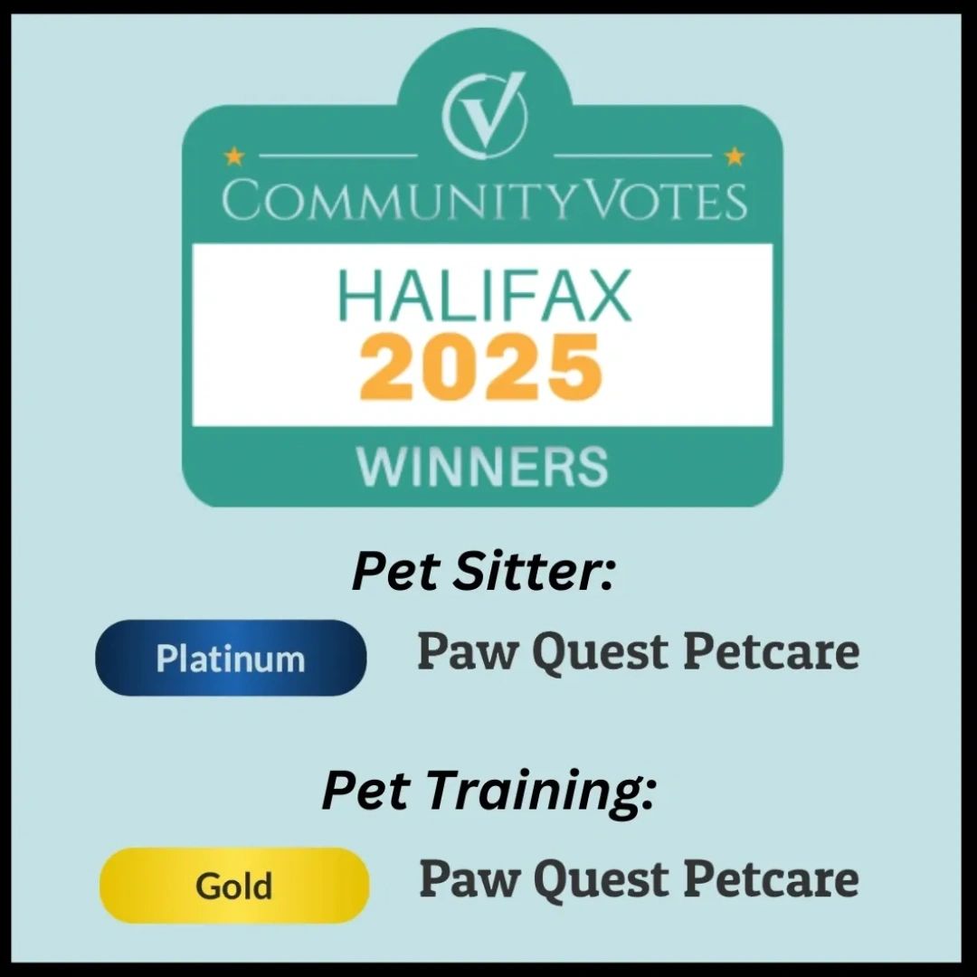 Best Dog Walker in Halifax 2025
Best Pet Sitter in Halifax
Best Dog Trainer in Halifax Gold Award