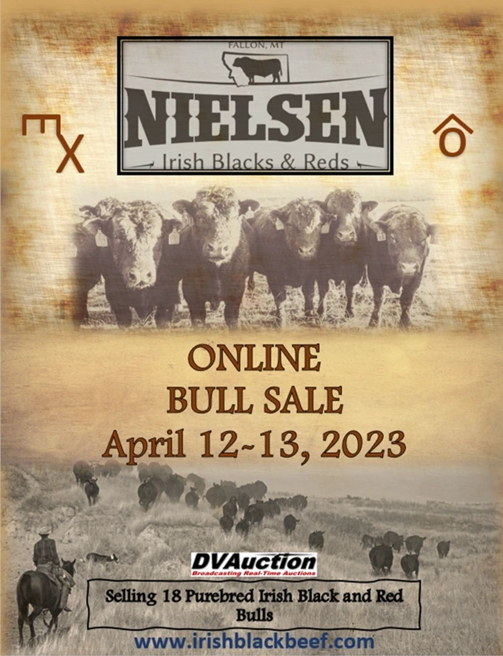 Irish Staffordshire Bull Terrier Dog Breed: Info, Pictures, Care \u0026 More –  Dogster, image size:1023x1334