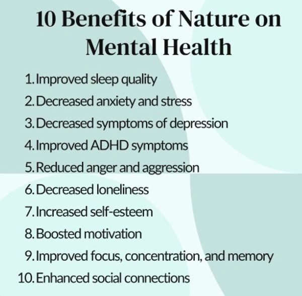Top 10 mental health benefits of connecting with nature.