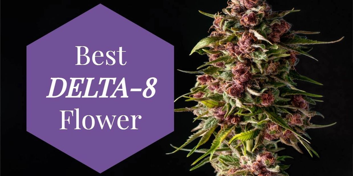 Delta 8 Flower Florida | D8 Hemp Flower Florida