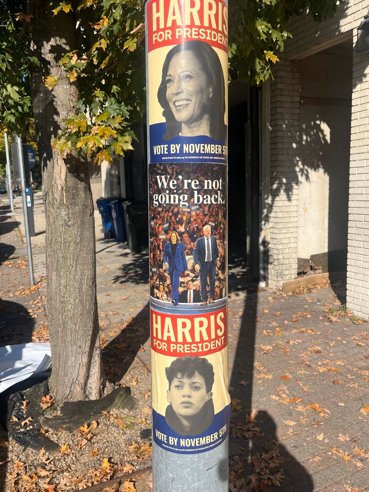Posters promoting "Harris for President," featuring images of Kamala Harris, a diverse group of supporters, and slogans encouraging voting by November 5th, emphasizing engagement in political advertising in Virginia.