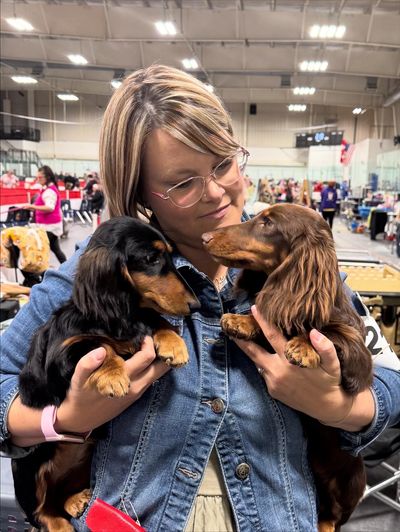 PECDACHSHUNDS GENTLE BREEZE - Breezy
PECDACHSHUNDS CALM RAIN SHOWERS- Raina
