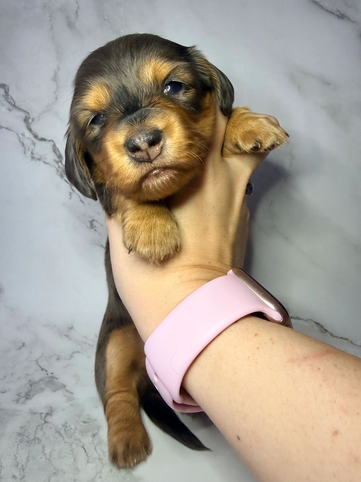 5. 🌟❤️ Kara— Supergirl ~ 3 Weeks Old 