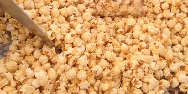 Mushroom popcorn 